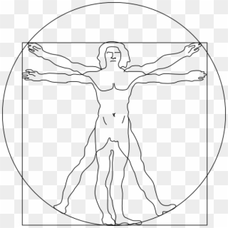 Vitruvian Man Png Images, Free Transparent Image Download 320x320 Vitruvian Man Png Images, Free Transparent Image Download