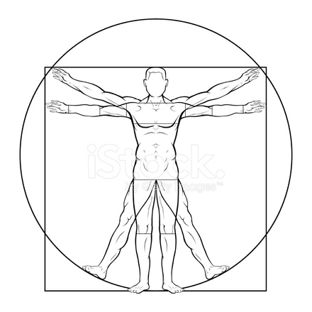 Vitruvian Man Stock Vector 440x440 Vitruvian Man Stock Vector