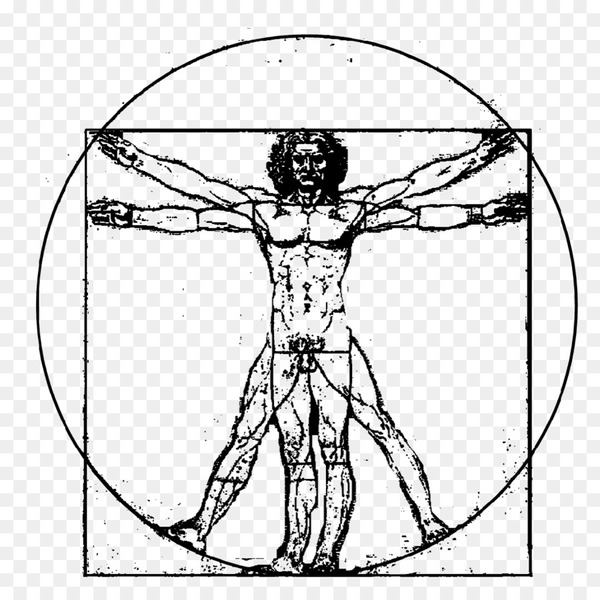 Vitruvian Man The Creation Of Adam 600x600 Vitruvian Man The Creation Of Adam