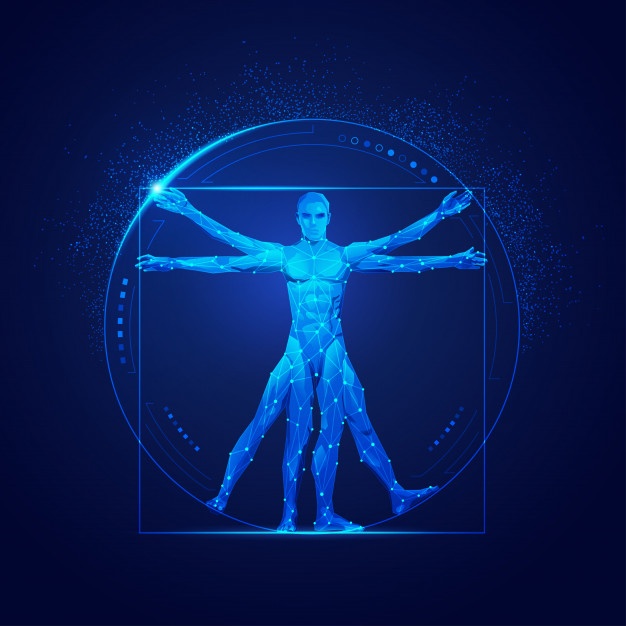 Vitruvian Vectors, Photos And Free Download 626x626 Vitruvian Vectors, Photos And Free Download