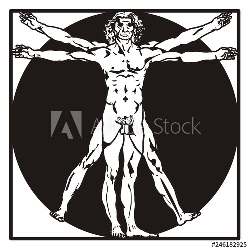 Vitruvian Man Leonardo Da Vinci Renaissance Vector 500x500 Vitruvian Man Leonardo Da Vinci Renaissance Vector