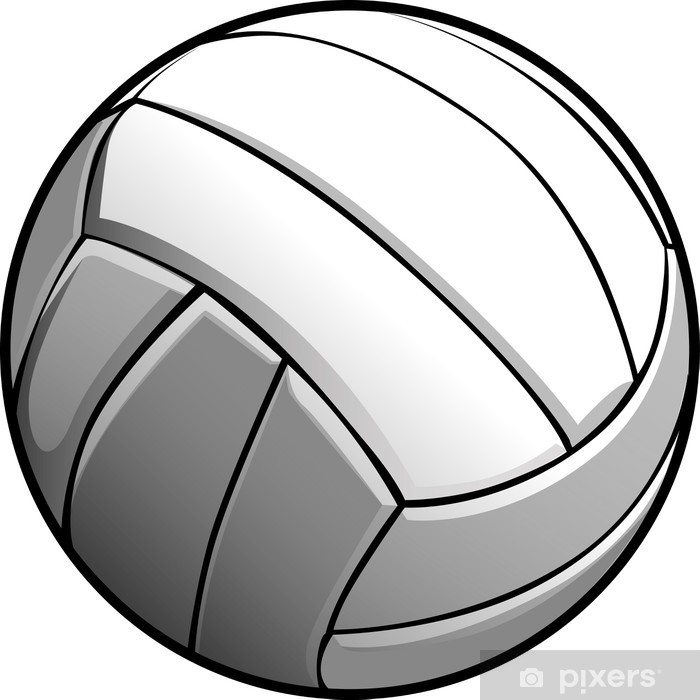 Volleyball Ball Vector Image Icon Wall Mural We Live 700x700 Volleyball Ball Vector Image Icon Wall Mural We Live