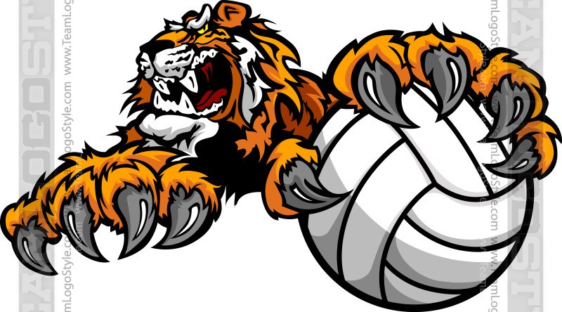 Tiger Volleyball Clipart 800x444 Tiger Volleyball Clipart