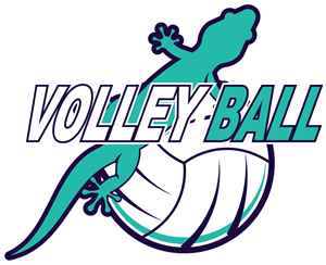 300x244 Volleyball Logo Vectors Free Download