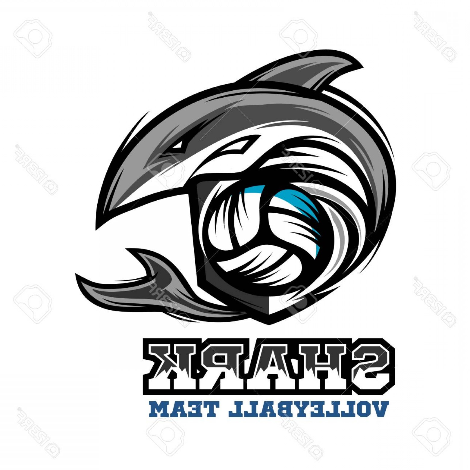 1560x1560 Photostock Vector Shark Volleyball Team Logo Vector Handandbeak