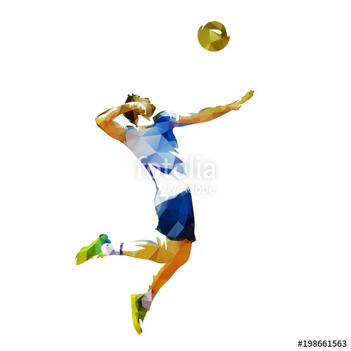 Volleyball Player Serving Ball, Abstract Polygonal Vector 500x500 Volleyball Player Serving Ball, Abstract Polygonal Vector