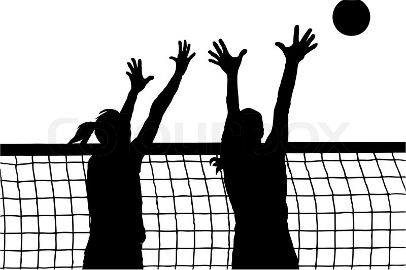 800x532 Vector Image Of Volleyball Women Stock Vector Colourbox