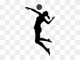 320x240 Volleyball Vector Clipart, Transparent Volleyball Vector Clip Art
