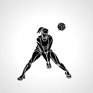 Volleyball Silhouette Vector at Vectorified.com | Collection of ...