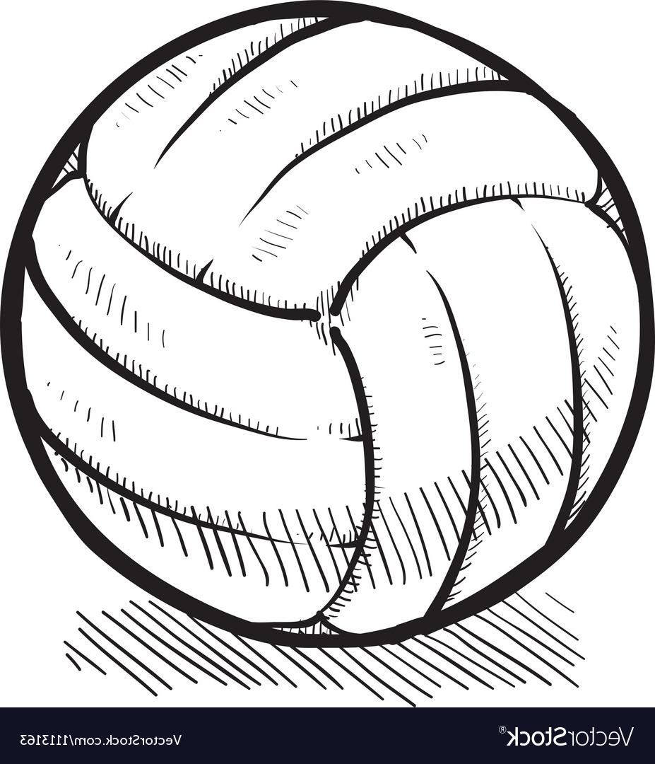 927x1080 Hd Black And White Volleyball Vector Pictures Free Vector Art
