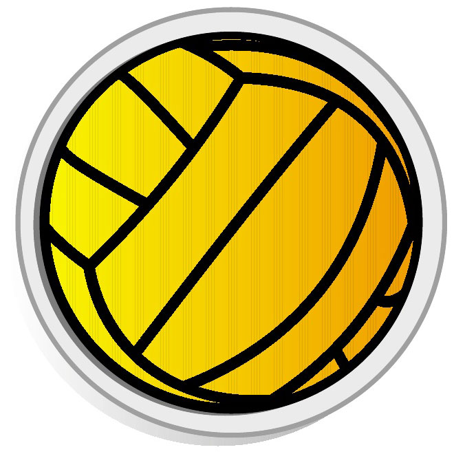 660x660 Volleyball Vector Image