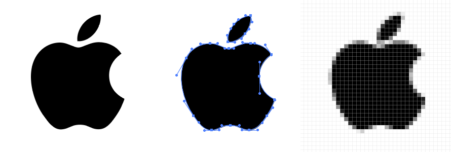 890x300 Logo Formats Raster Vs Vector Renderforest