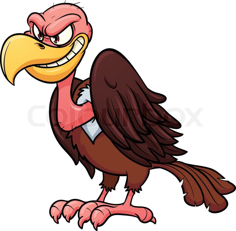 800x785 Evil Looking Cartoon Vulture Vector Stock Vector Colourbox