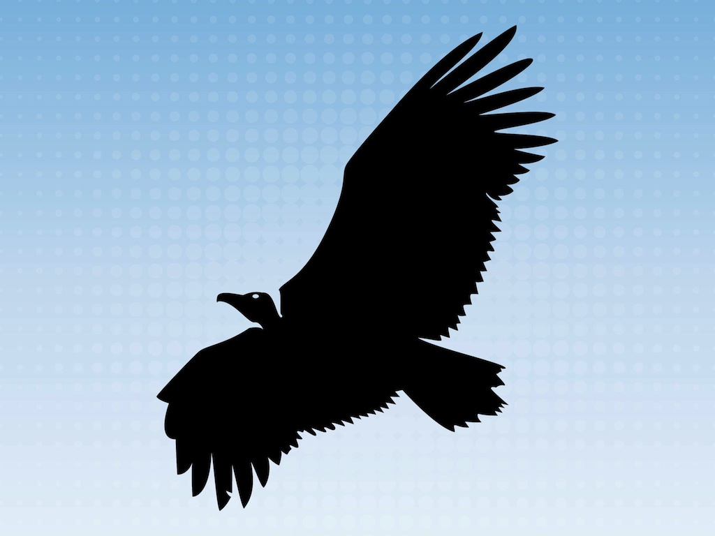1024x768 Flying Vulture Vector Art Graphics