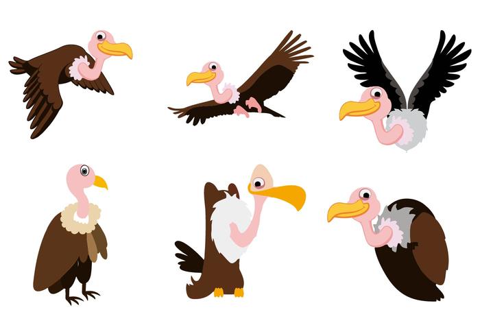 700x490 Free Buzzard Vector