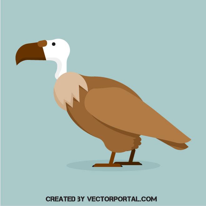 660x660 Griffon Vulture Vector Image