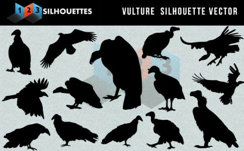 485x300 I Love Vultures! Silhouette