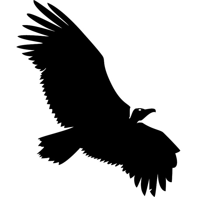 660x660 Vulture Vector Silhouette