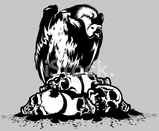 533x439 Vulture Stock Vector