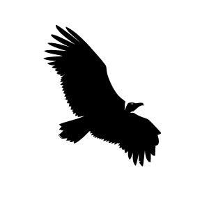 300x300 Vulture Vector Image Free Vectors Ui Download