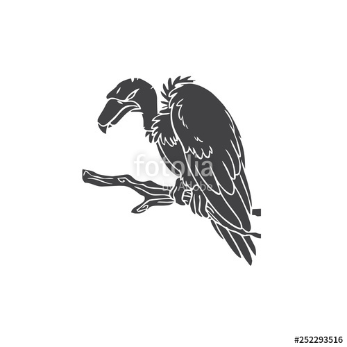 500x500 Vulture Logo Vector Stock Image And Royalty Free Vector