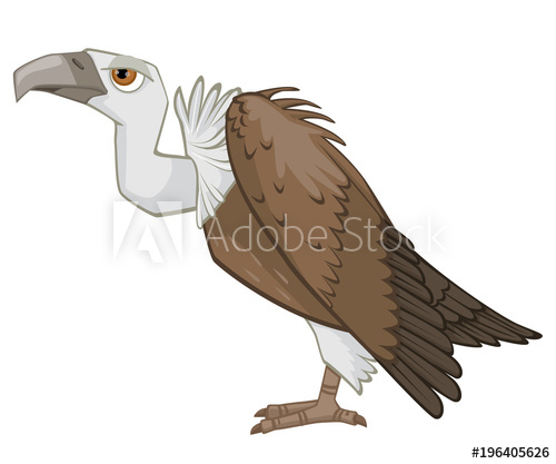 Vulture Vector at Vectorified.com | Collection of Vulture Vector free ...