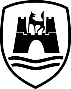 240x300 Vw Wolfsburg And Logo