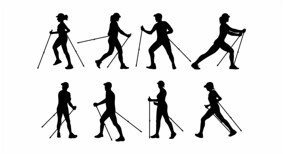 920x499 Nordic Walking Silhouettes Vector
