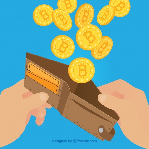 626x626 Wallet Vectors, Photos And Free Download