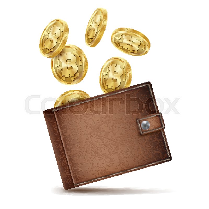 800x800 Full Bitcoin Wallet Vector Brown Stock Vector Colourbox