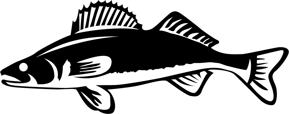 979x388 Walleye Clipart