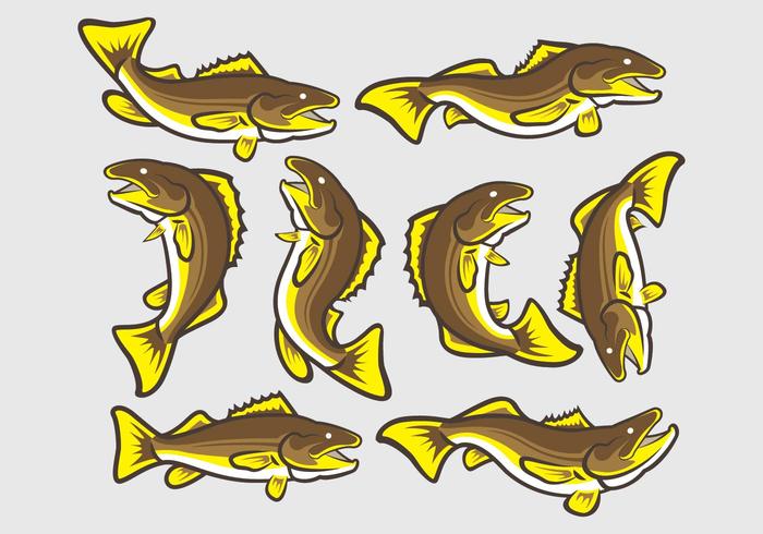700x490 Walleye Free Vector Art