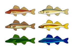 286x200 Walleye Free Vector Art
