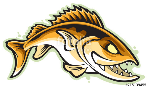 500x298 Walleye Stock Image And Royalty Free Vector