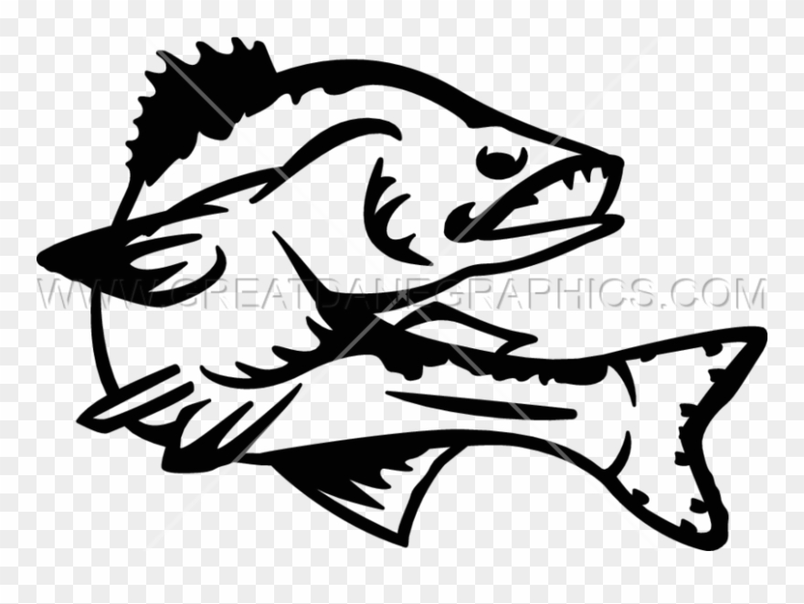 Walleye Vector at Vectorified.com | Collection of Walleye Vector free ...