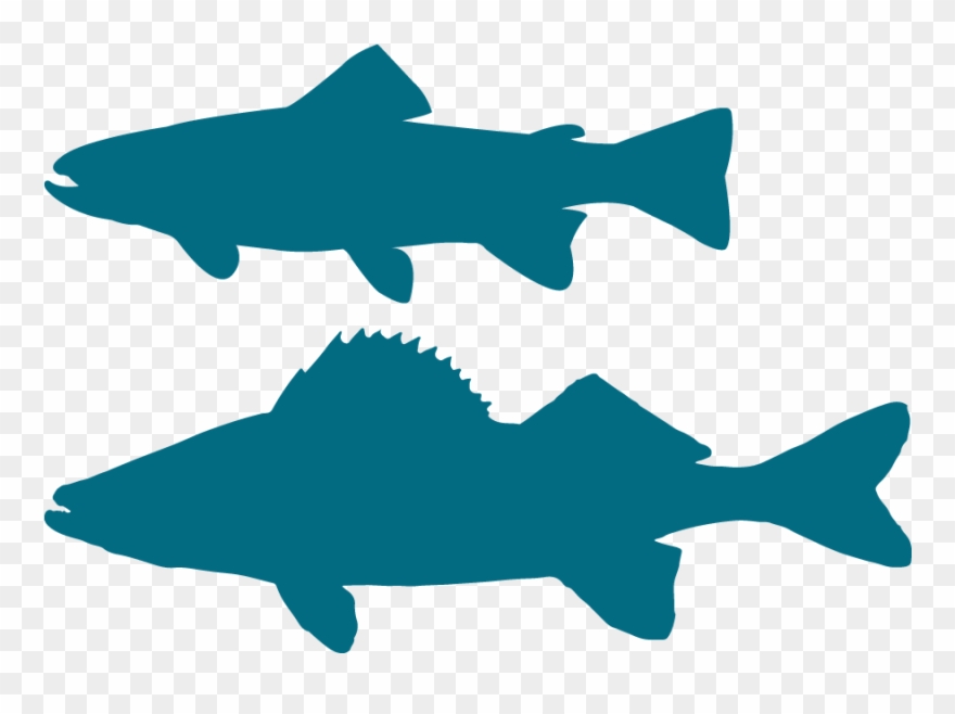 Walleye SVG