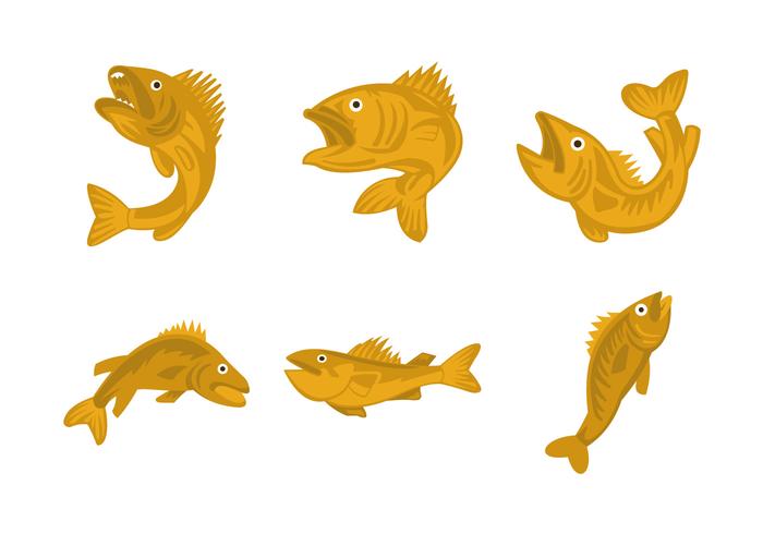 700x490 Walleye Vector Illustration