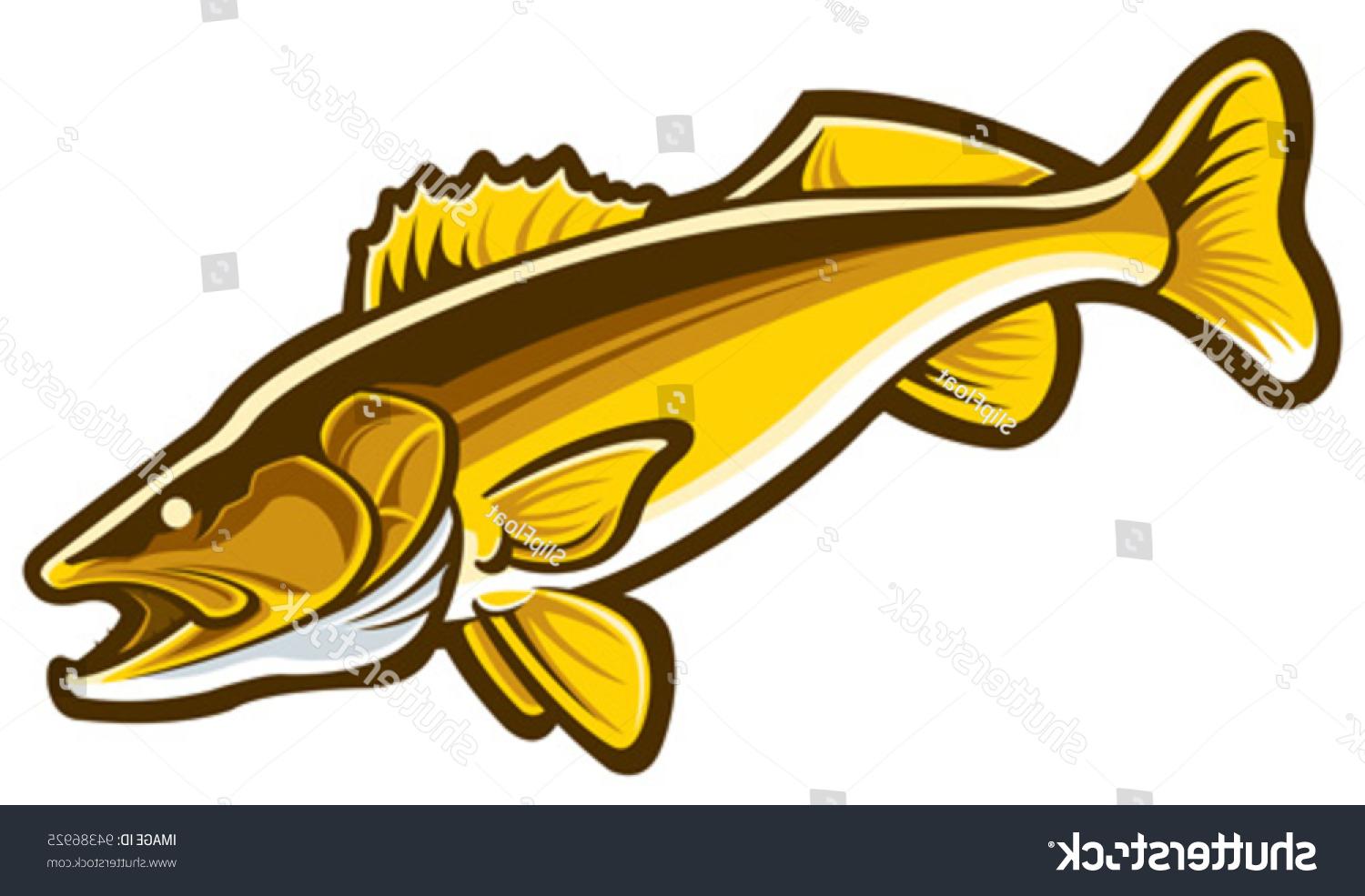 1500x985 Best Stock Vector Walleye Pictures