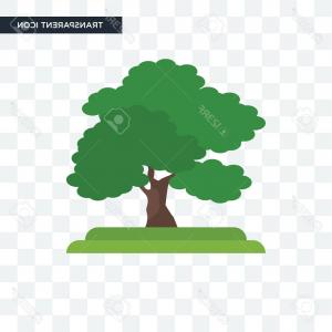 300x300 Photostock Vector Black Walnut Tree Vector Icon Isolated