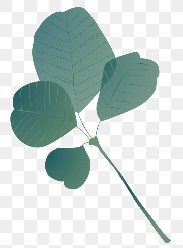360x486 Walnut Tree Png, Vector, And Clipart With Transparent