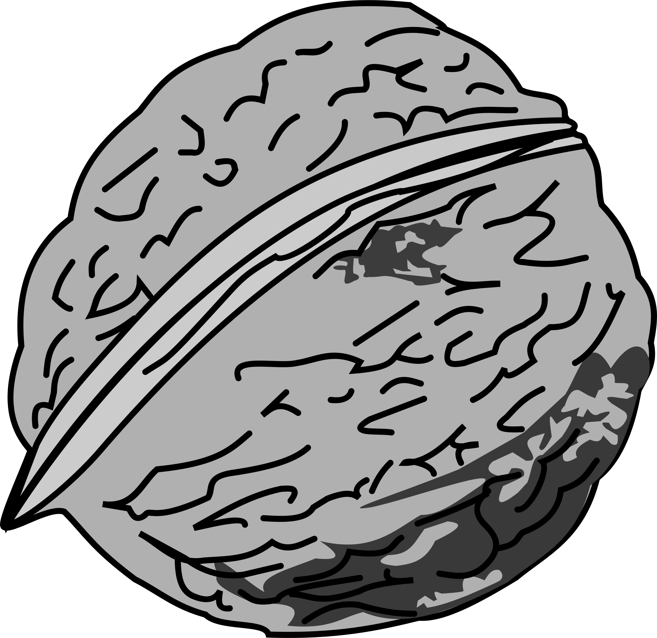 2294x2228 Walnut Tree Clip Art Transparent Stock Png Files, Free Clip Art