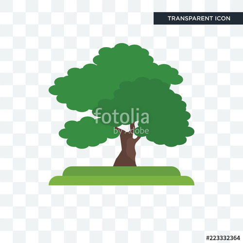 500x500 Black Walnut Tree Vector Icon Isolated On Transparent Background