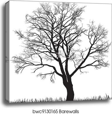 Walnut Tree Vector at Vectorified.com | Collection of Walnut Tree ...