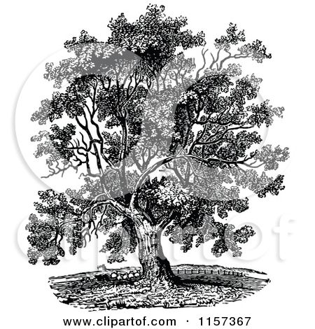 450x470 Clipart Of A Retro Vintage Black And White Mature Black Walnut