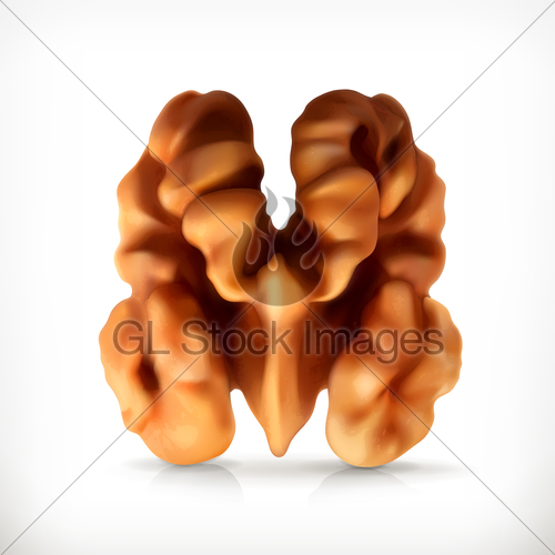 500x500 Walnut, Vector Icon Gl Stock Images