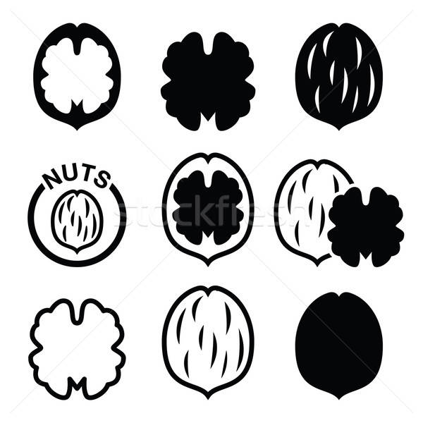 600x600 Walnut Stock Vectors, Illustrations And Cliparts Stockfresh