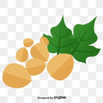 360x360 Walnut Vector Png, Vector, And Clipart With Transparent