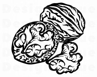 340x270 Walnut Vector Etsy