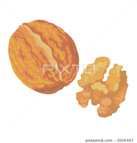 450x468 Walnut, Vector, Vectors