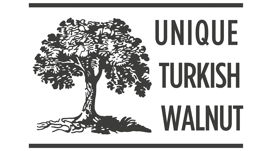 900x500 Unique Turkish Walnut Vector Logo